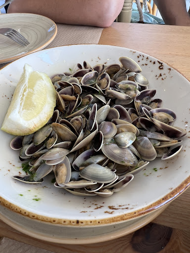 Turquessa