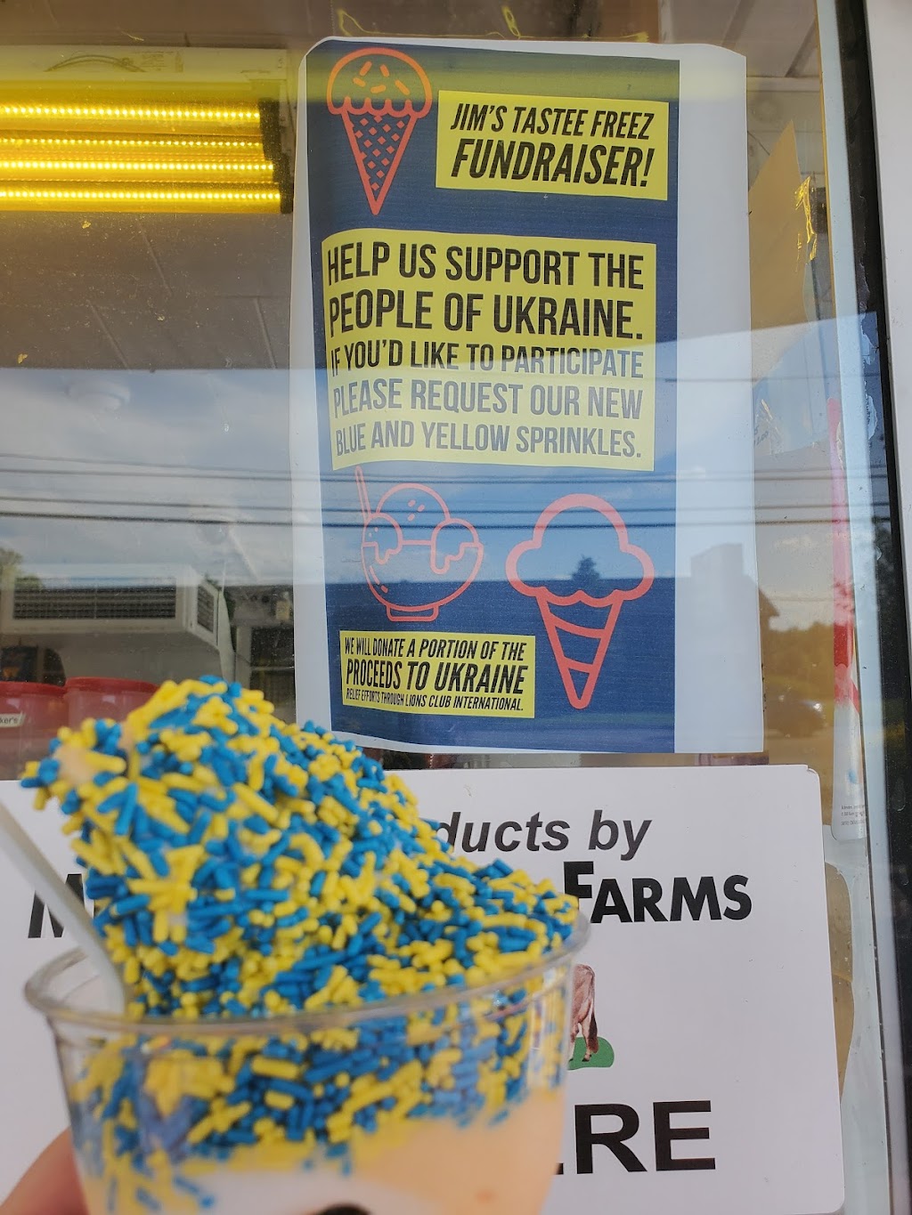 Jim's Tastee Freez, Delmar, NY