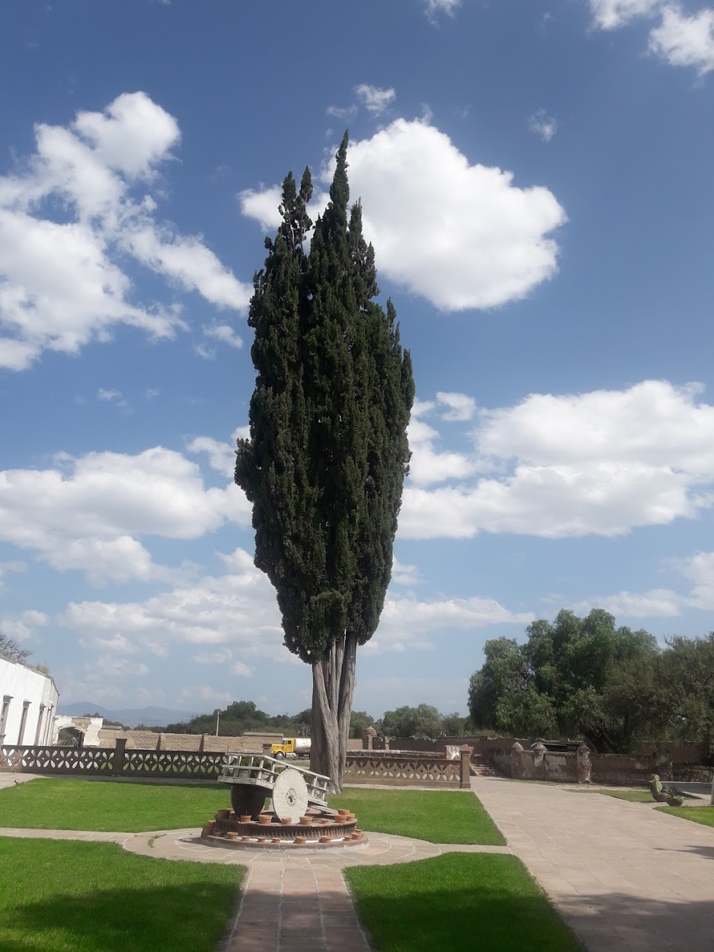 El Terrero Sur, Jacarandas