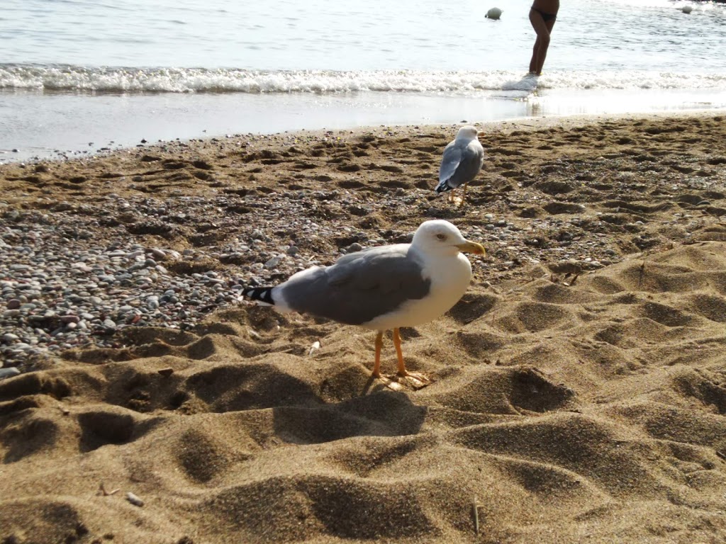 Beach Fiascherino 2, Lerici