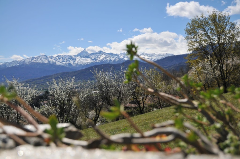 Agriturismo Altavista