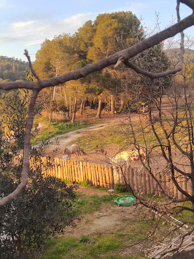 Masia El Abuelo