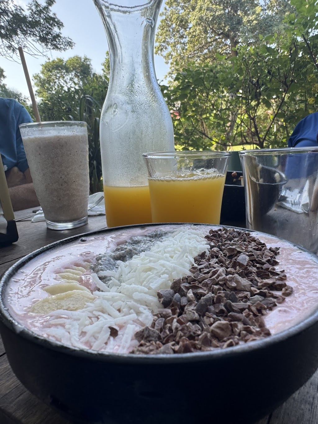 Viva Palapa