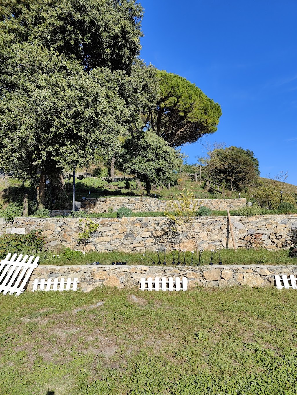 Trattoria del Liberale