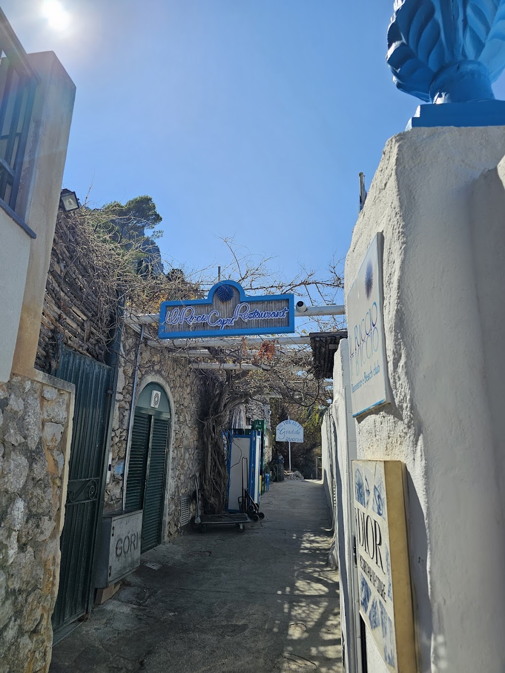 Il Riccio