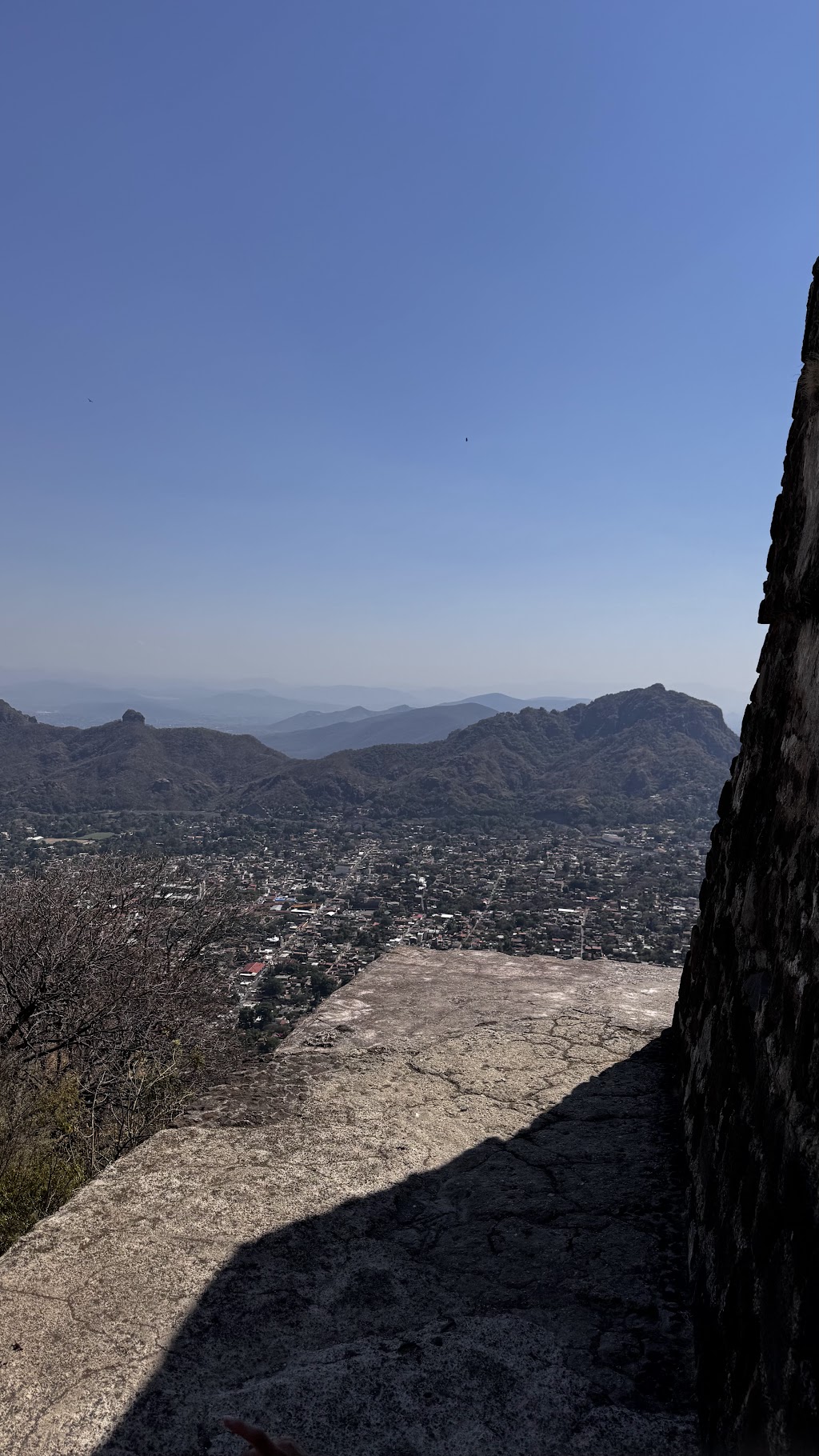 LaGoZadora