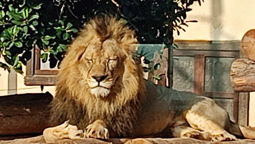 Lunatic Terra Natura