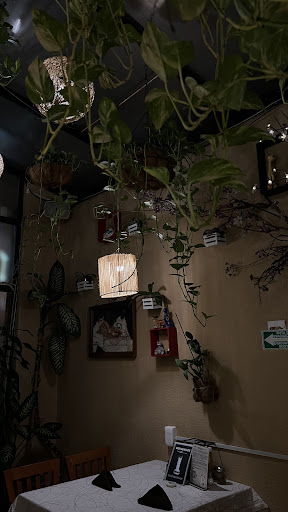 El Gato Café