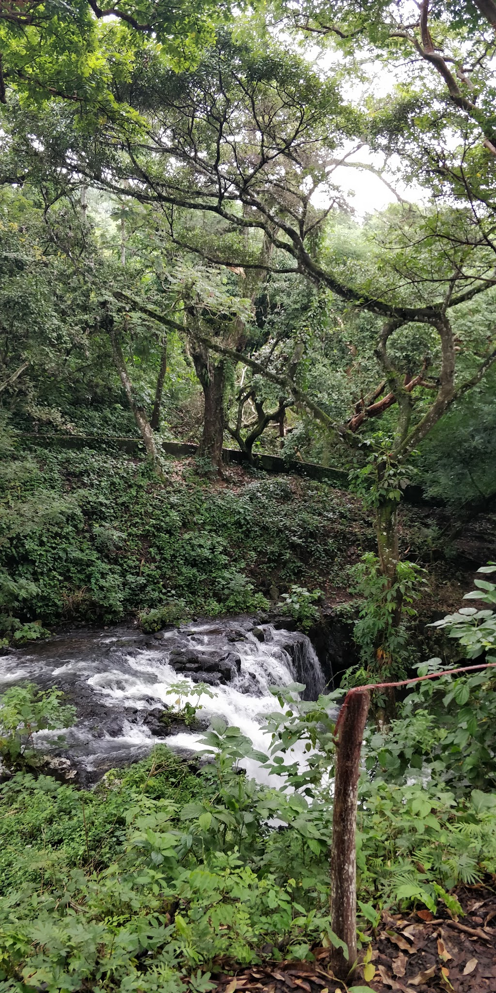 El Bosque Fovissste, San Andrés Tuxtla