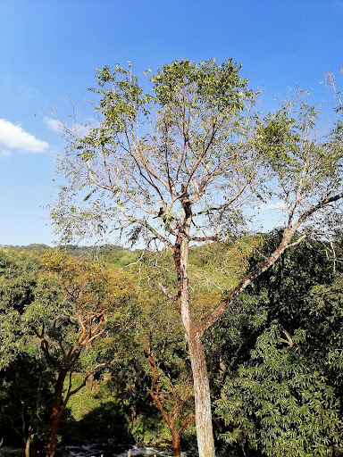 Rancho Sustenable Doña Elia