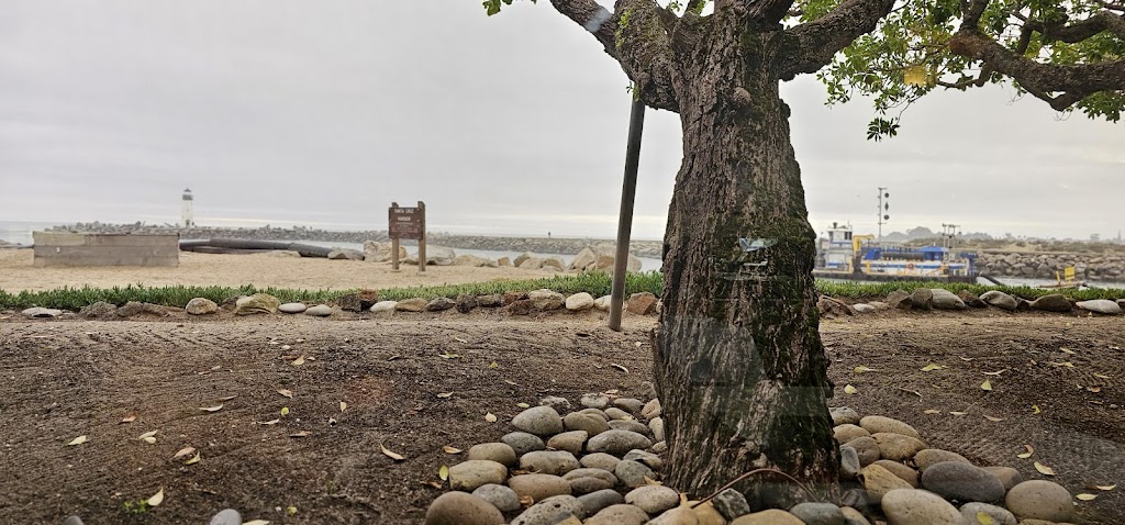 The Crow's Nest Beach Market