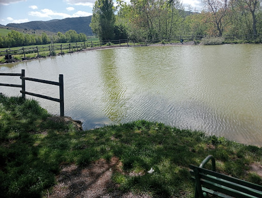 Coto de caza El Castillo