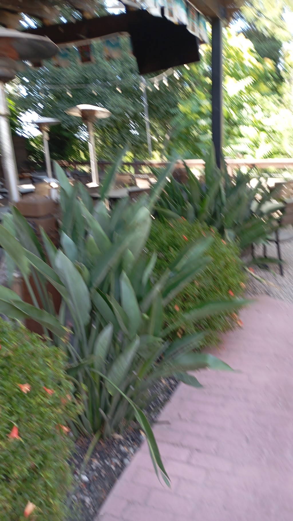 Taqueria Maria