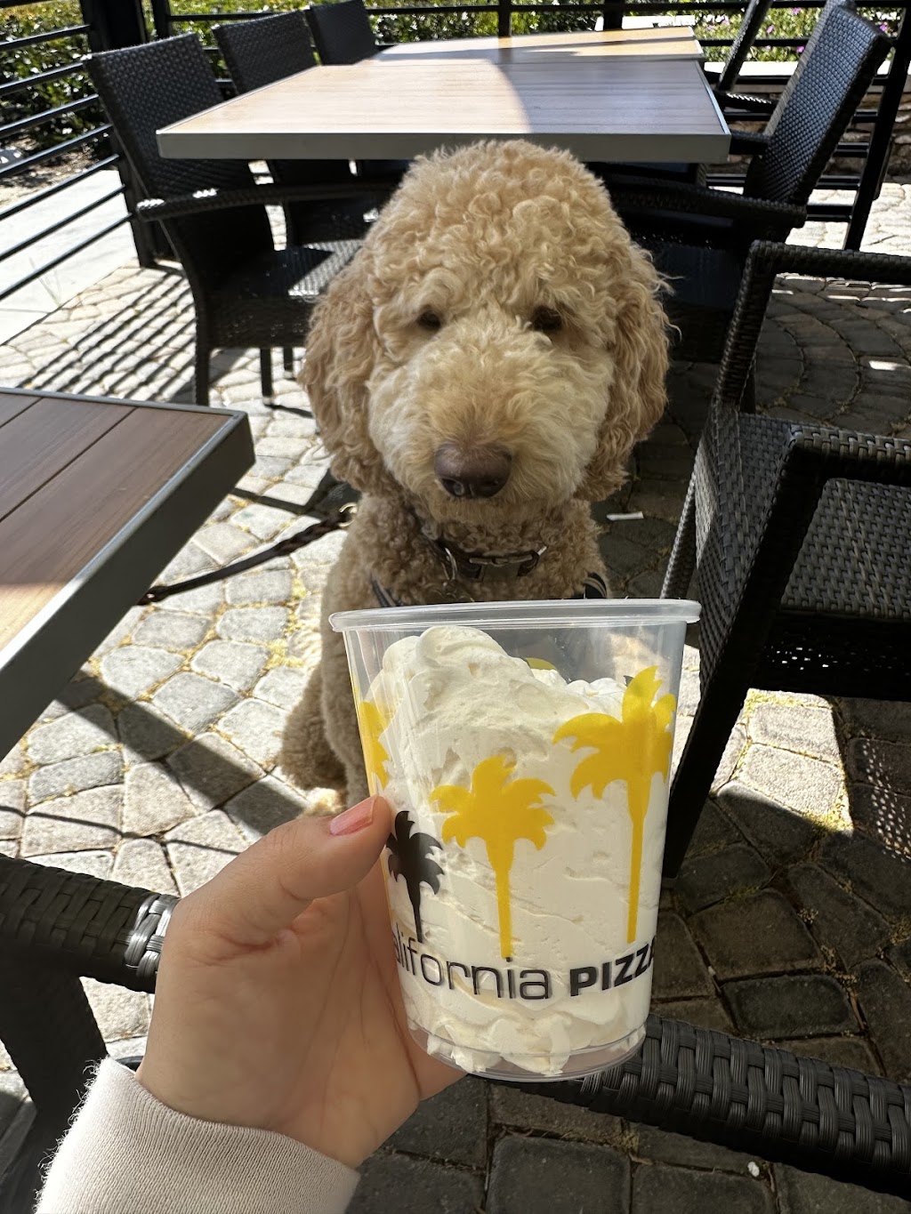 California Pizza Kitchen