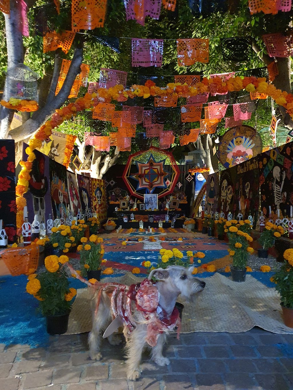 San Francisco del Rincón