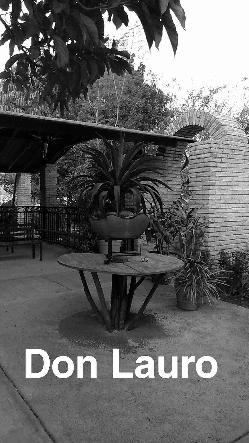 Restaurant Don Lauro