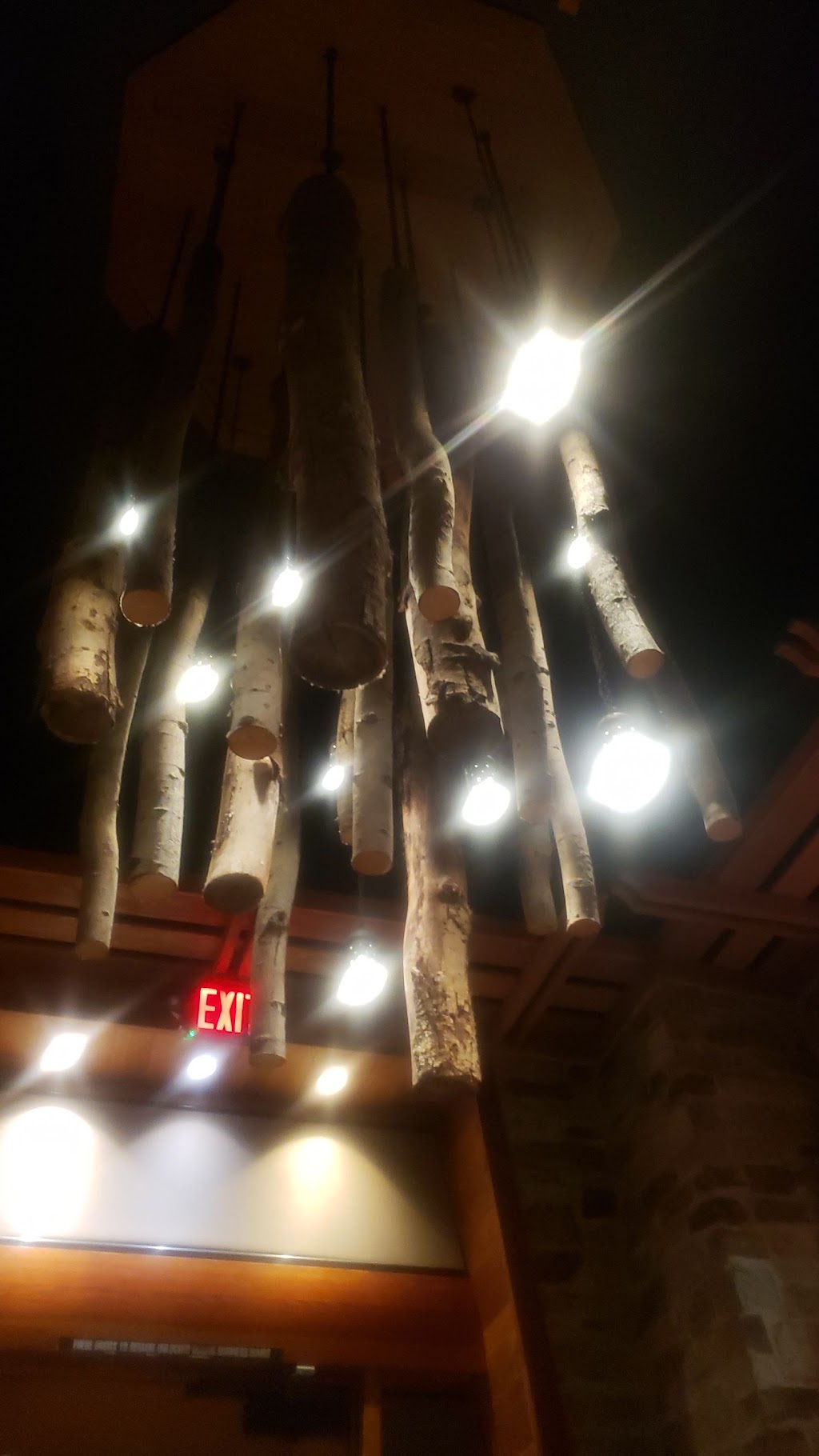 Lazy Dog, Arcadia, CA