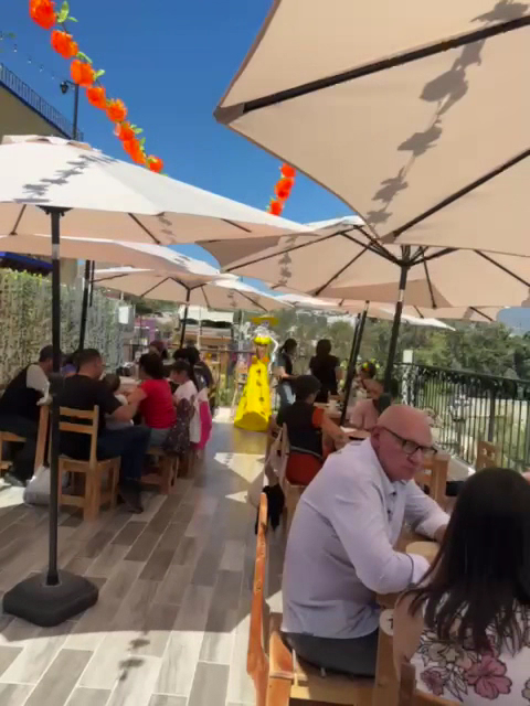 Belegui Oaxaca