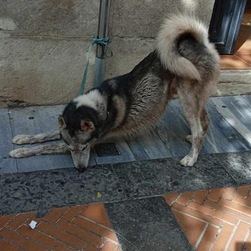 Cafè Plaça la Rosaleda