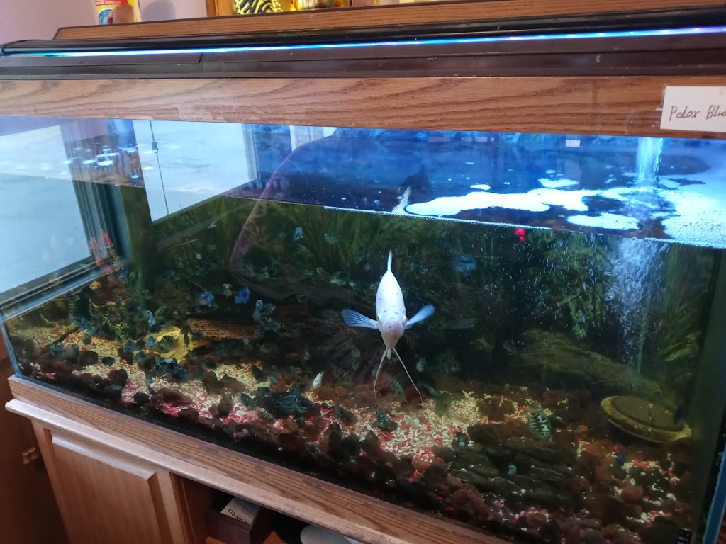 China Buffet, Milford, PA