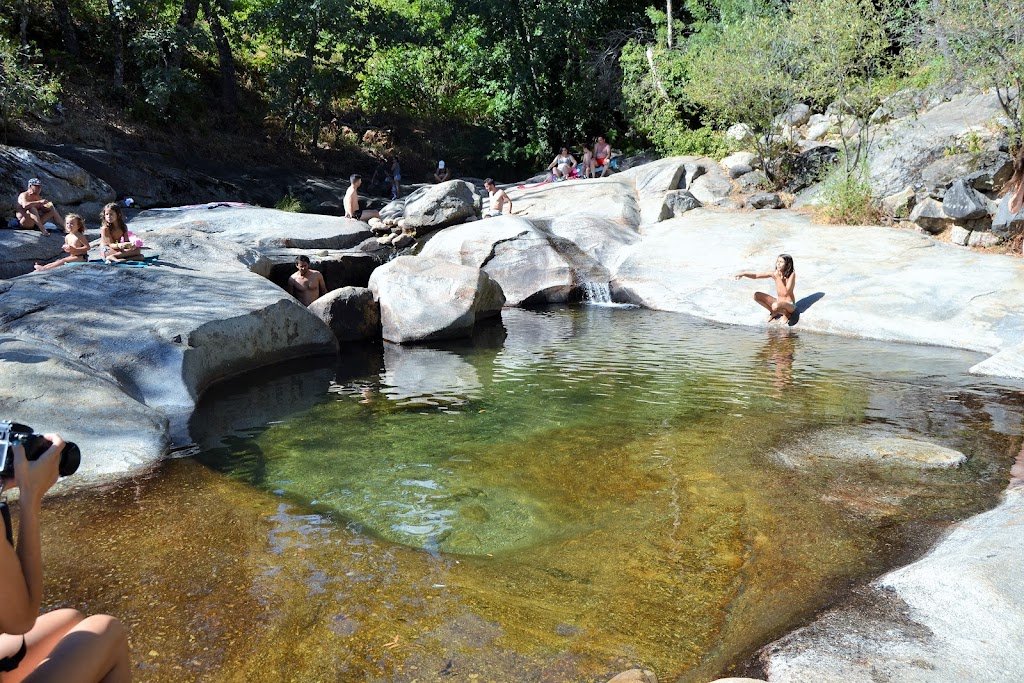 Oasis