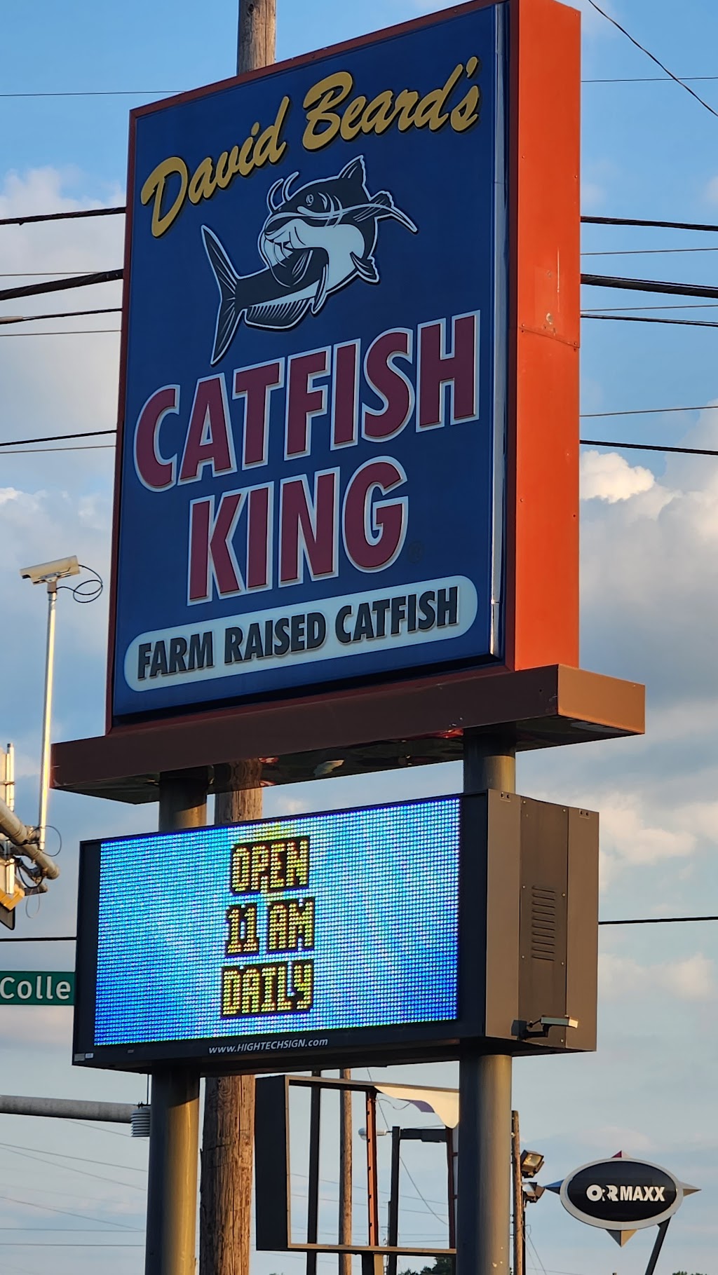 Catfish King