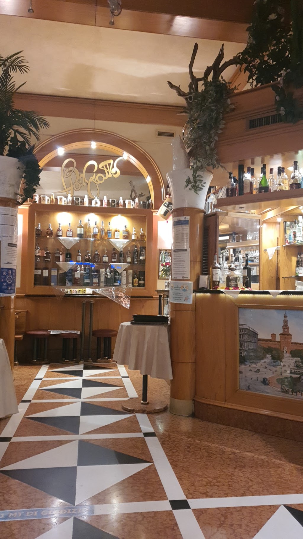 Bar Gatto