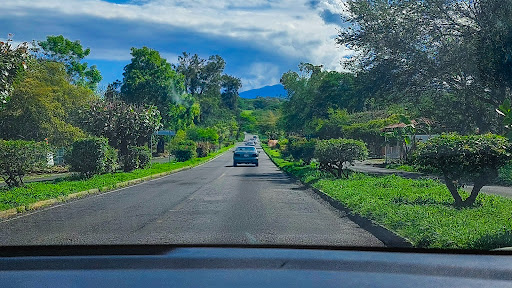 Brumas del Volcán