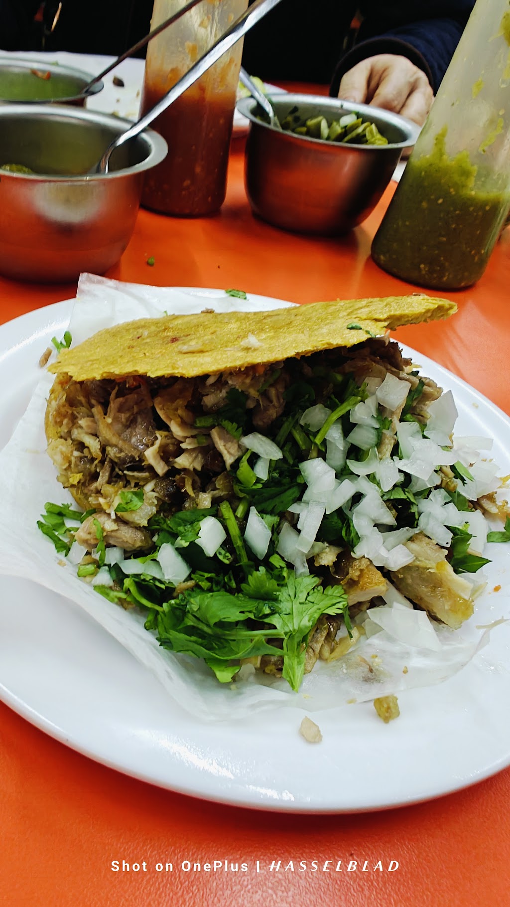 El Tecorral Desayunos, comida corrida y carnitas