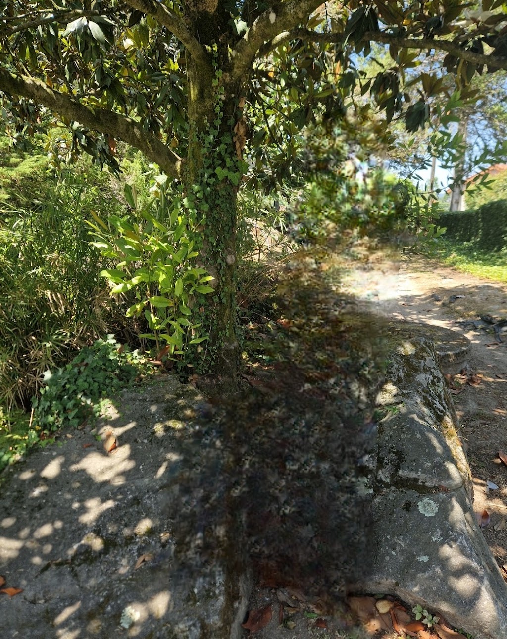 A Finca do Parrulo