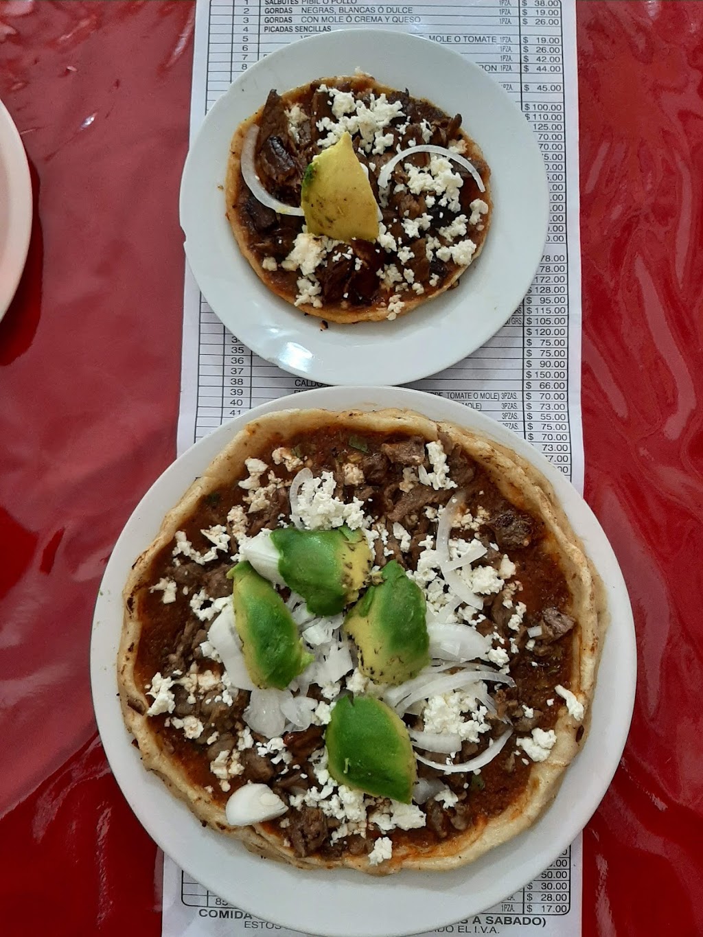 Ricardo Flores Magon, Veracruz