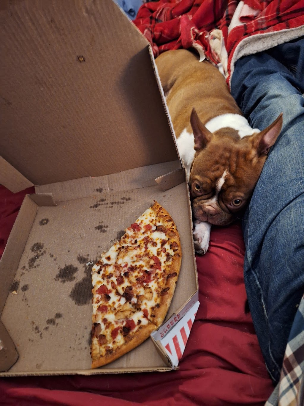 Domino's, Valley stream, NY