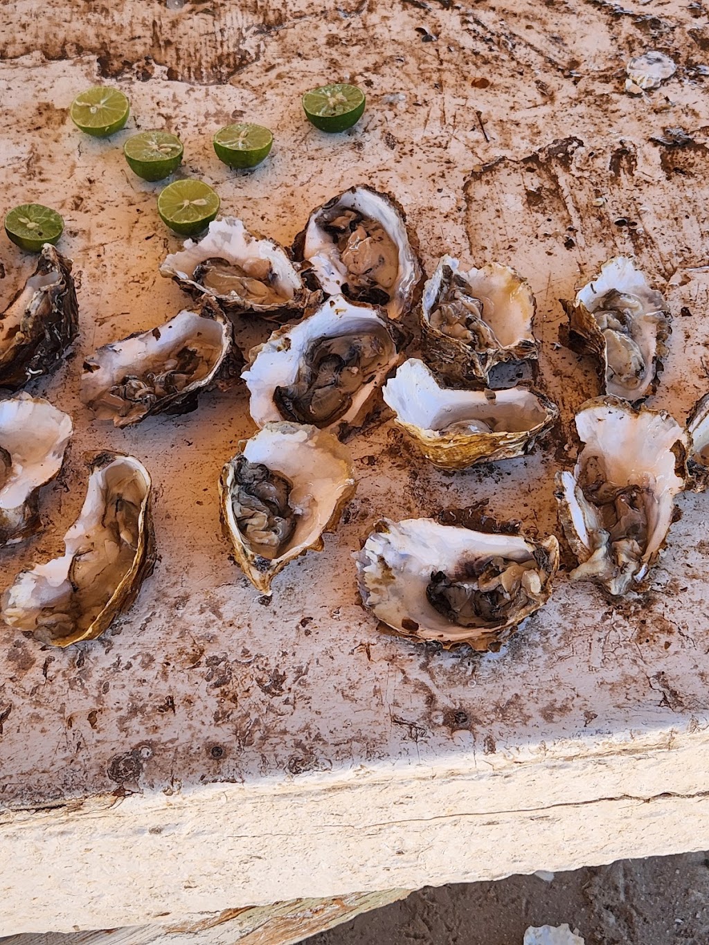 ostionera acuamar