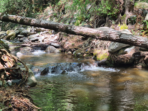 Les Piscines del Montseny