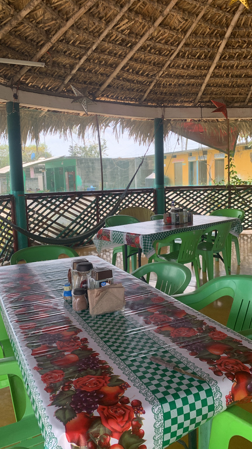 PALAPA LA VECINITA