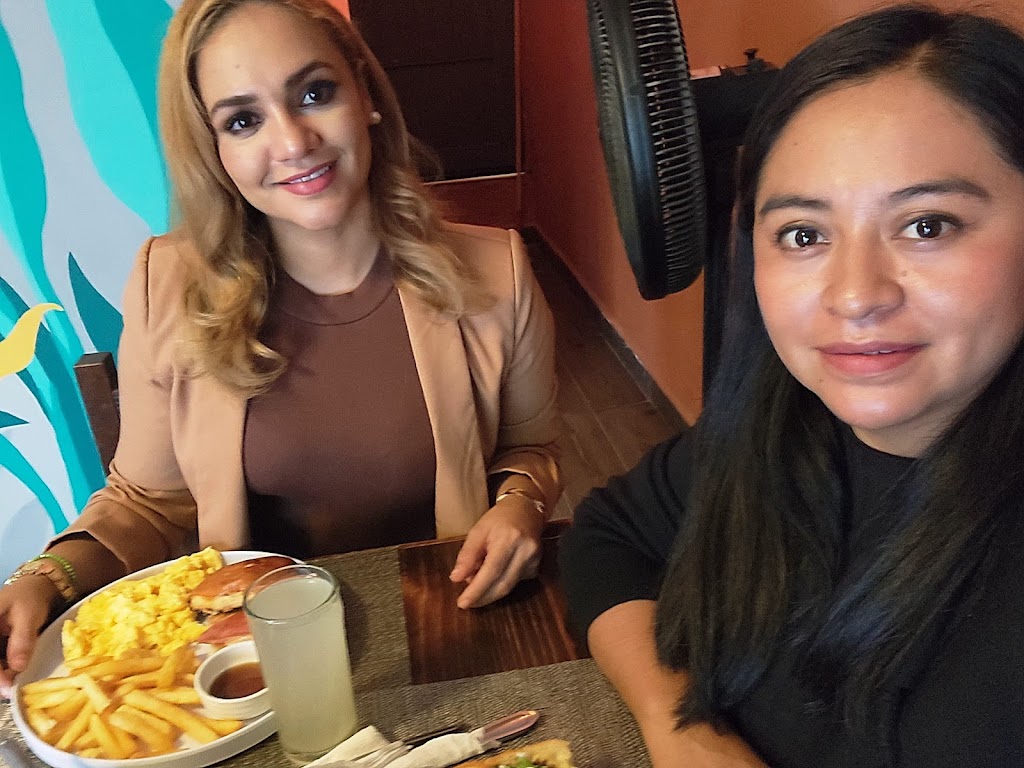 Bola Checos
