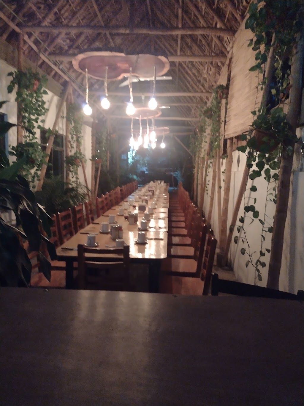 Venta de Tacos Delfis
