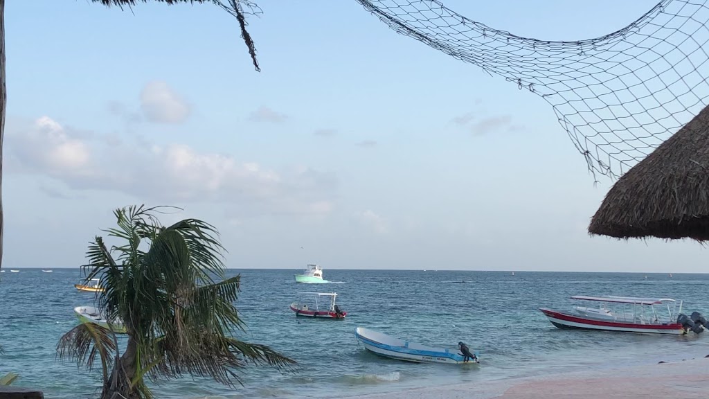 Los Pelicanos