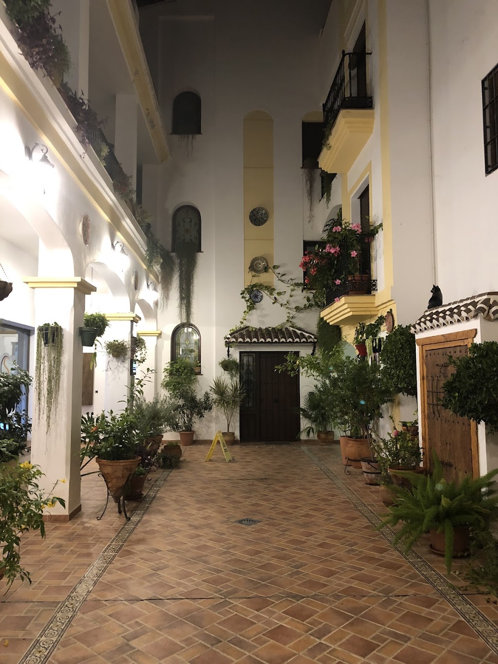 Oliva