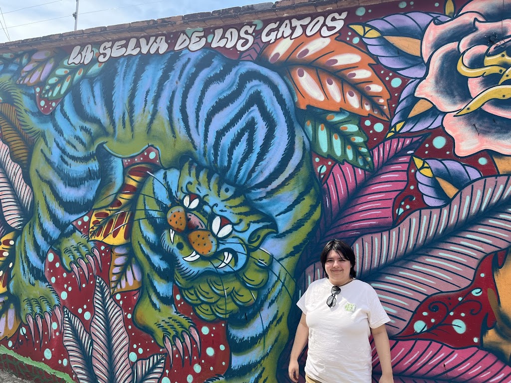 La Selva de los Gatos