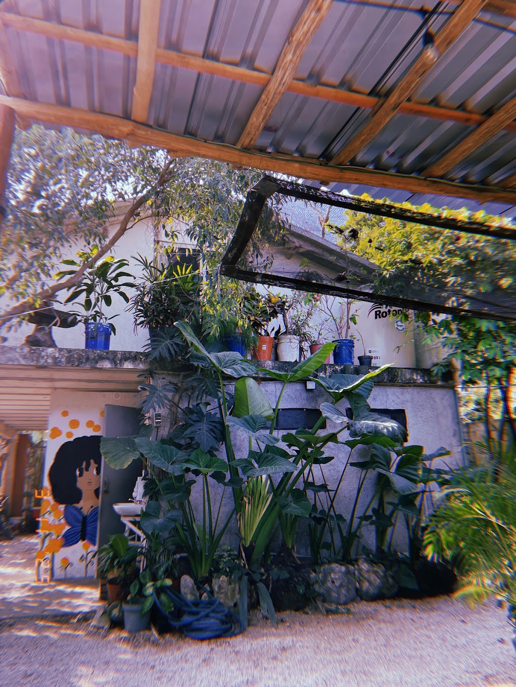 Chez Cocco