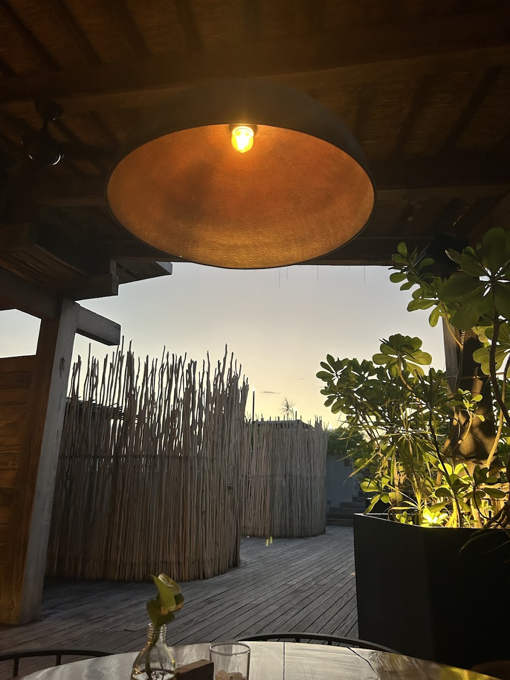 Bhanu Sky Kitchen