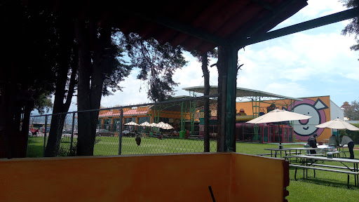 Los Cochinitos