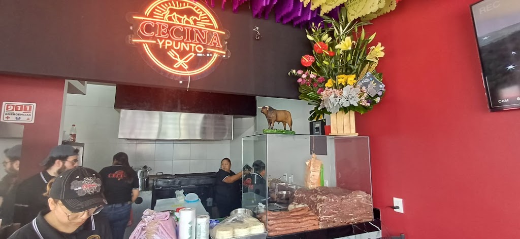 Pizzas y snacks El Punto