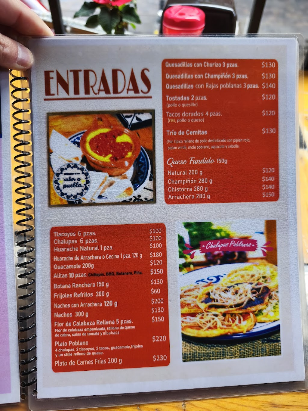 Sabor a Puebla
