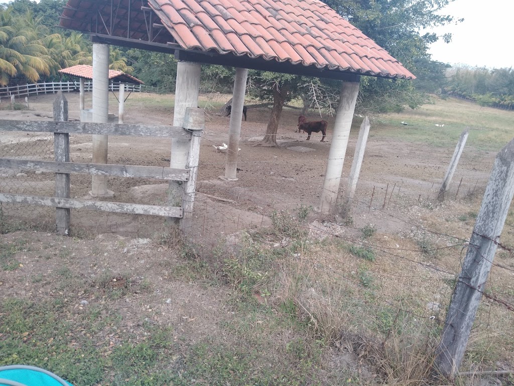 Restaurant "La Bendición"