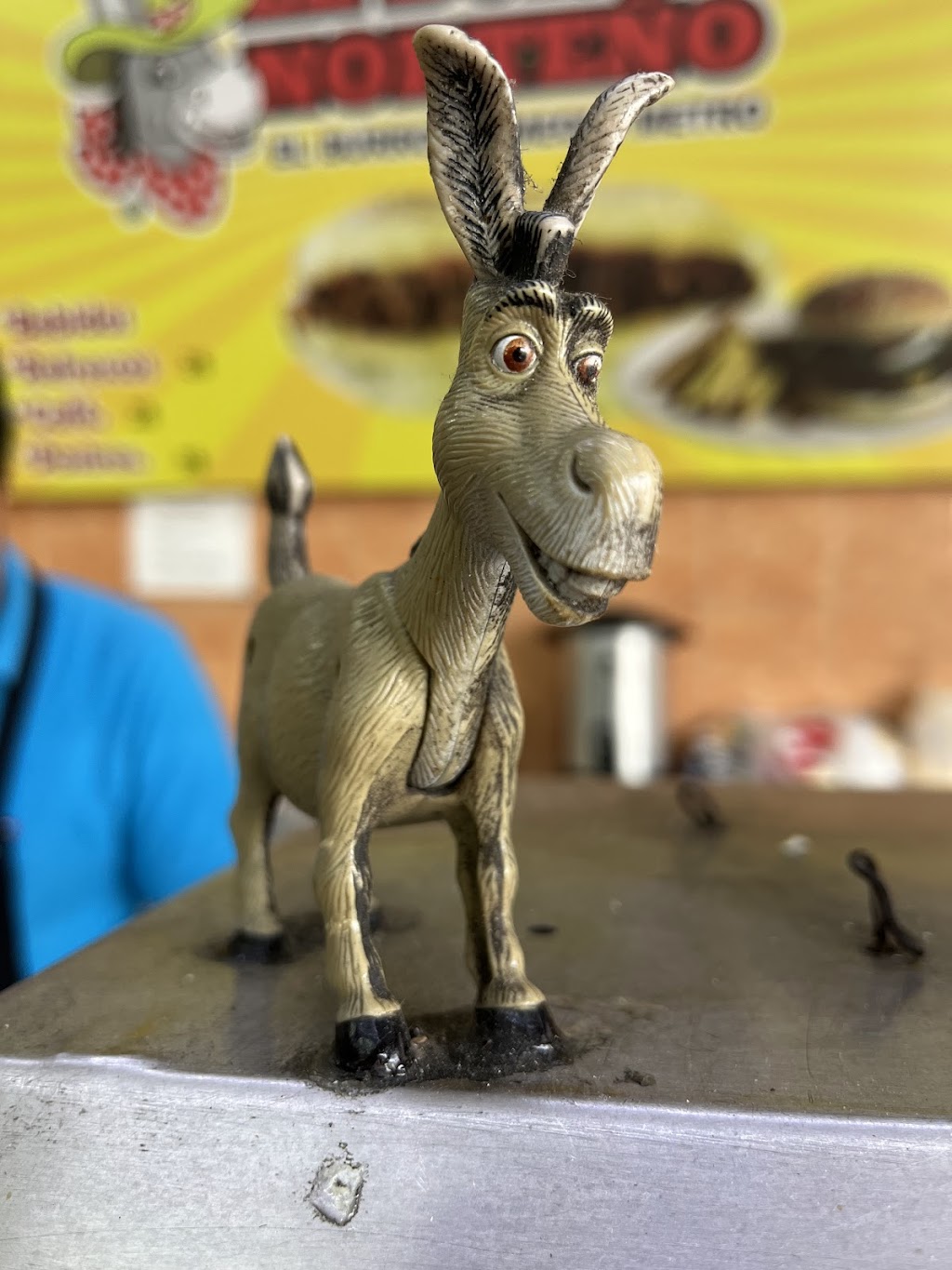 Tepatitlan De Morelos - La Ratonera