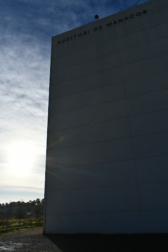 Auditori