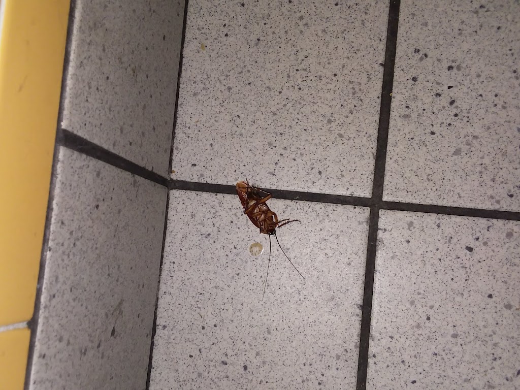 McDonald's, Quinlan, TX