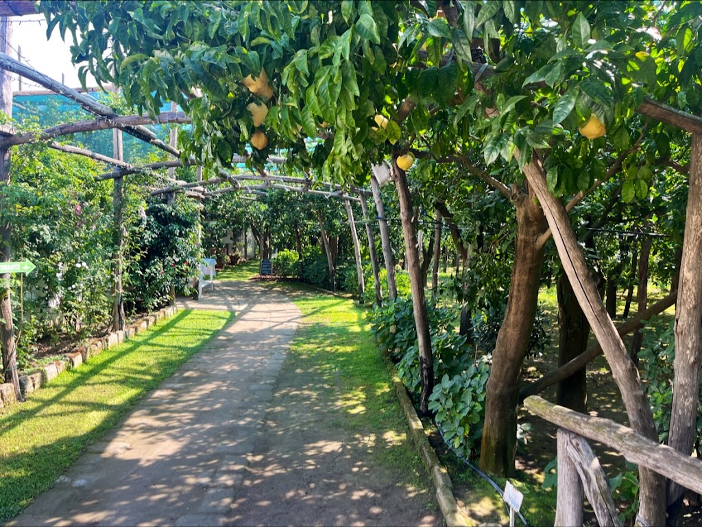 La Limonaia